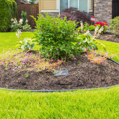 Tips for Green Grass Without Fertilizer